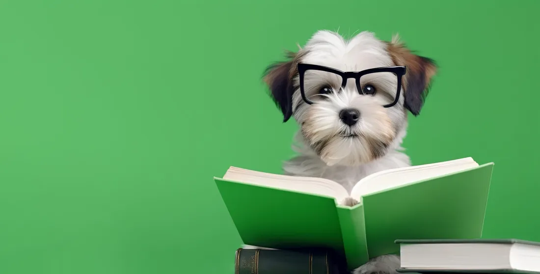 A small white and brown puppy in black-rimmed glasses peering over an open green book, against a solid green background.
