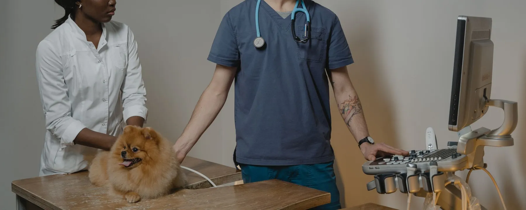 A veterinary team reviewing an ultrasound screen together.