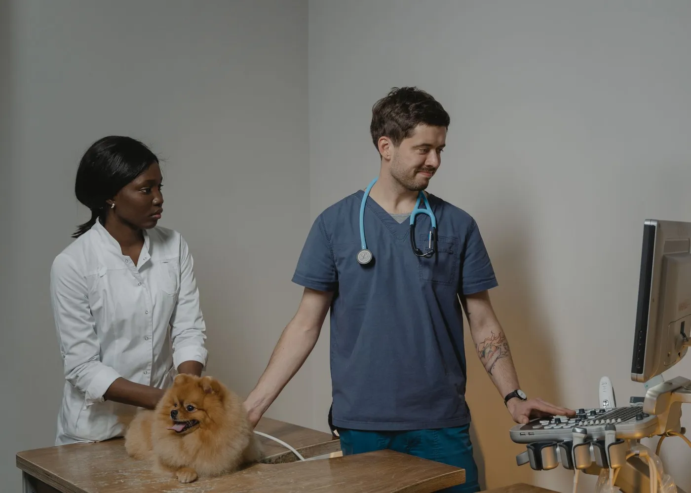 A veterinary team reviewing an ultrasound screen together.